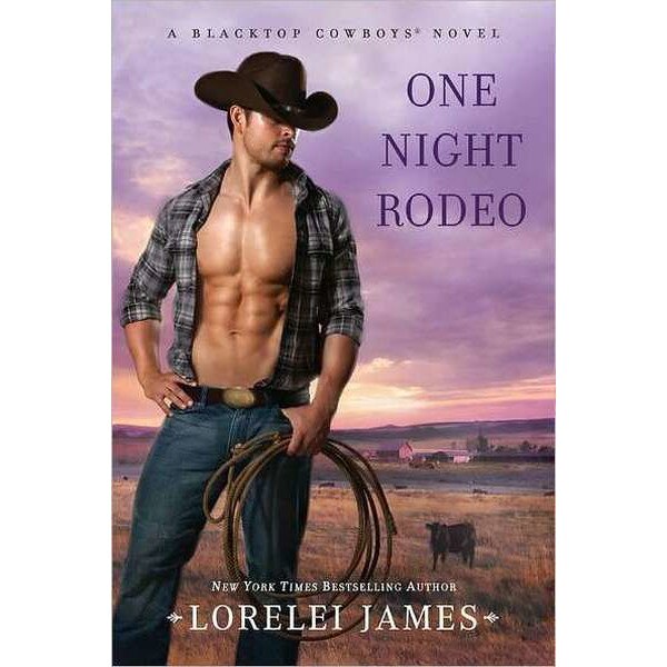One Night Rodeo de Lorelei James