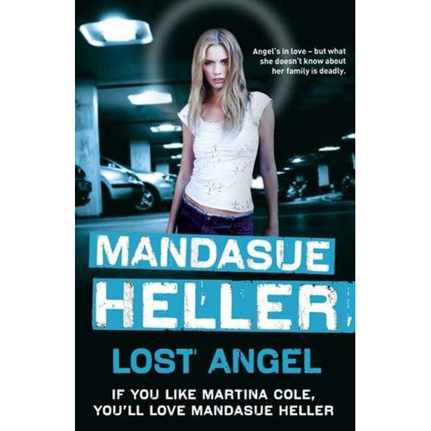 Lost Angel de Mandasue Heller [Paperback]