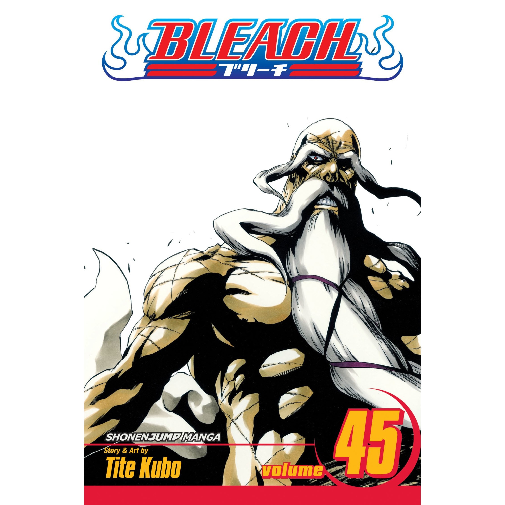 Bleach, Volume 45 de Tite Kubo