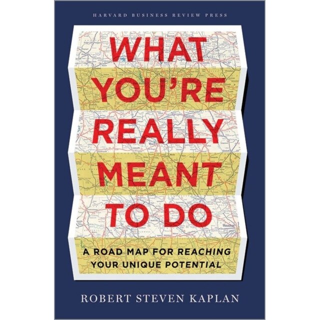 What You're Really Meant to Do de Robert Steven Kaplan