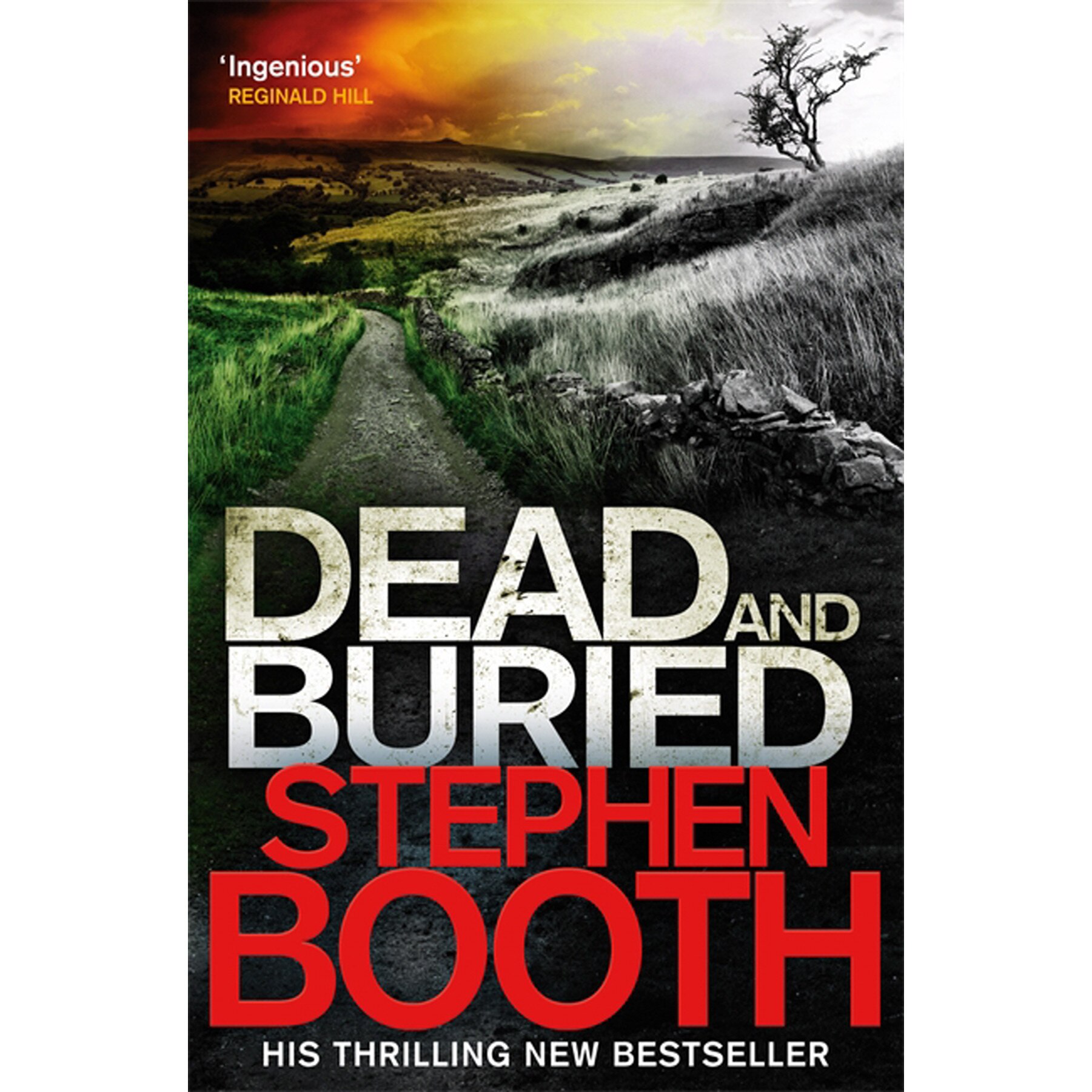 Dead And Buried de Stephen Booth