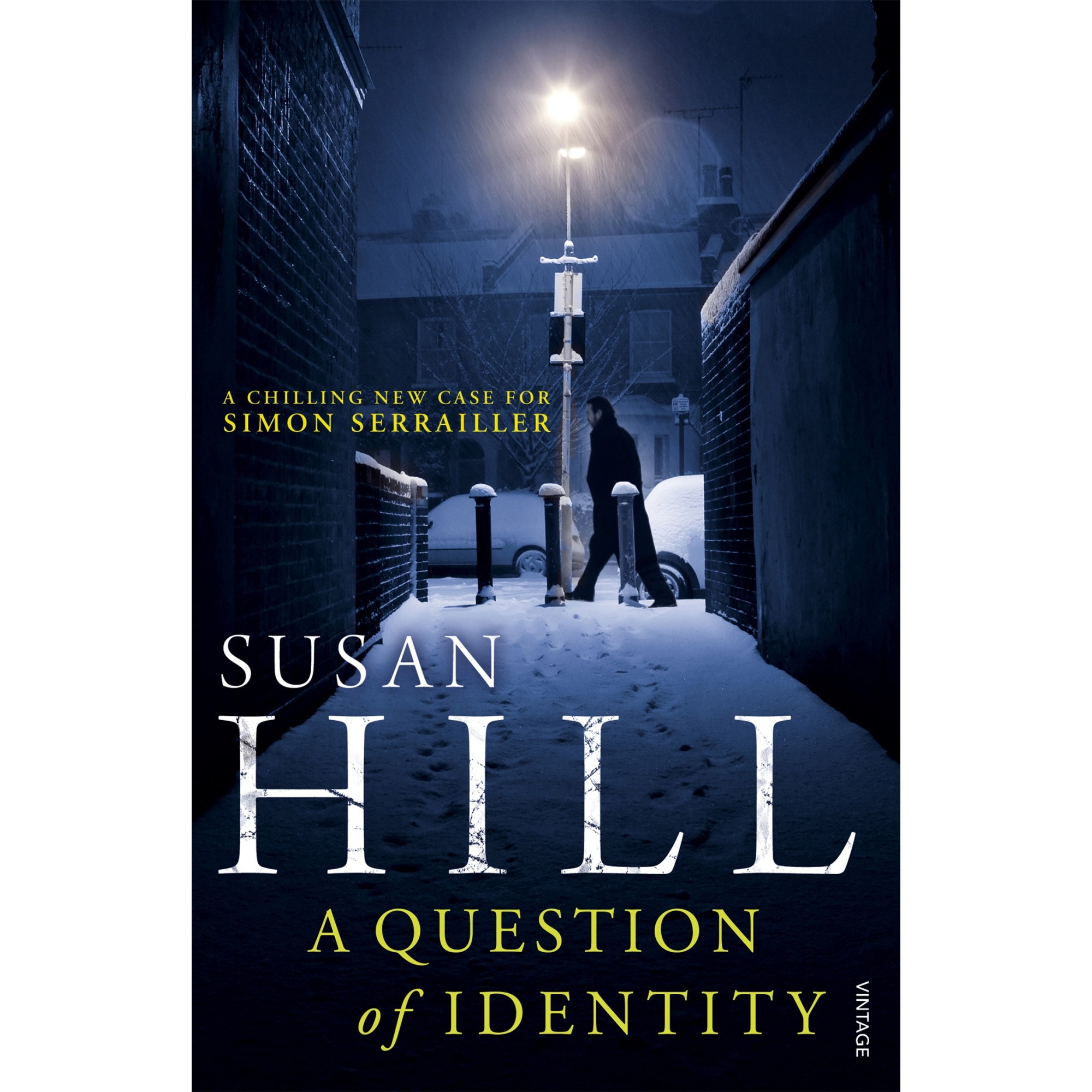 A Question of Identity de Susan Hill