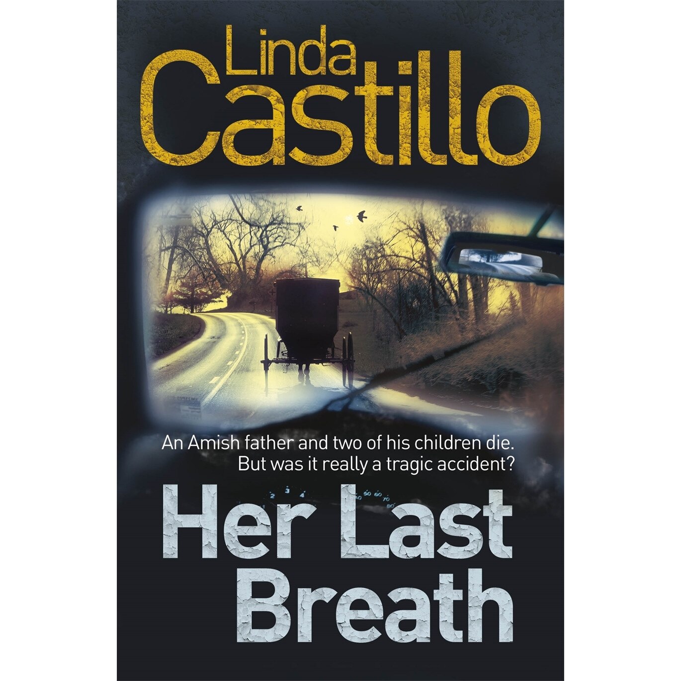 Her Last Breath de Linda Castillo