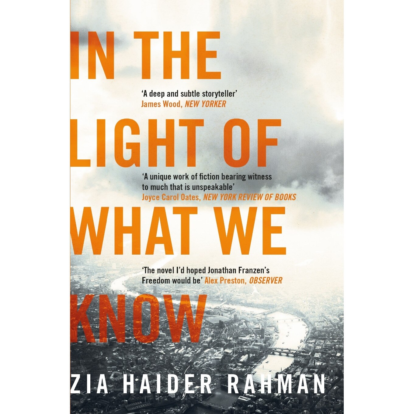 In the Light of What We Know de Zia Haider Rahman