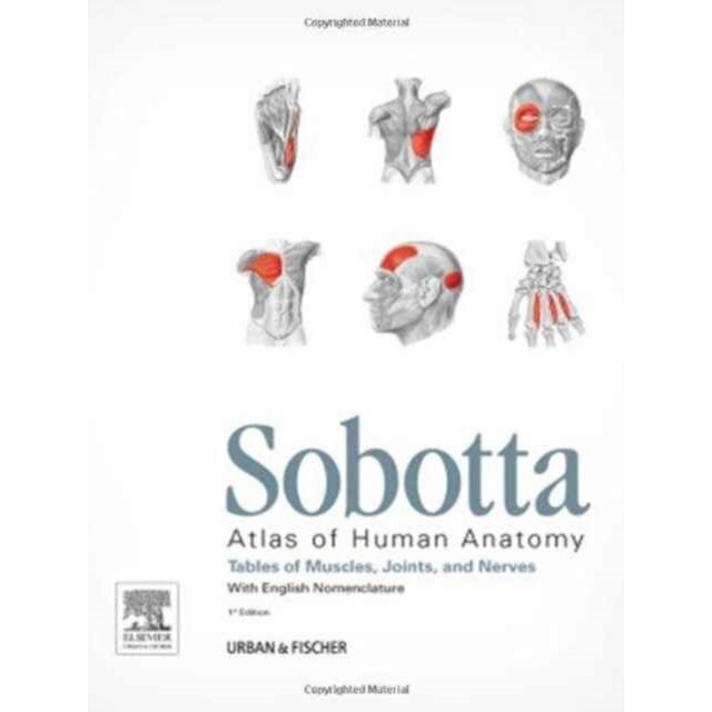 Sobotta Tables of Muscles, Joints and Nerves, English de Friedrich Paulsen