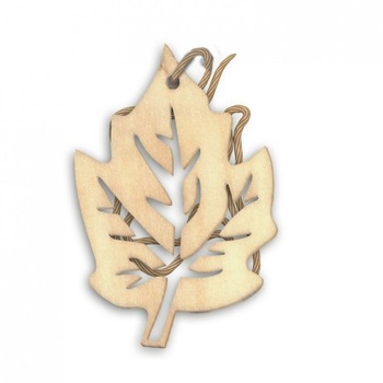 Odorizant carton cu forma de frunza FLORA FRESH MIX Odorizant carton cu forma de frunza FLORA FRESH MIX