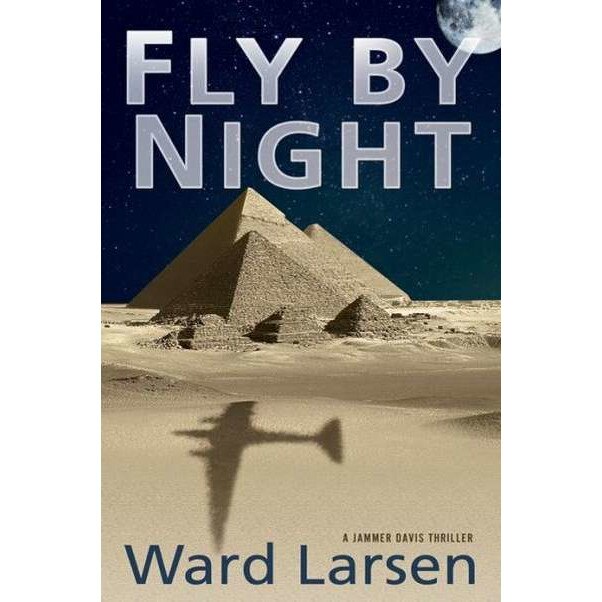 Fly by Night de Ward Larsen
