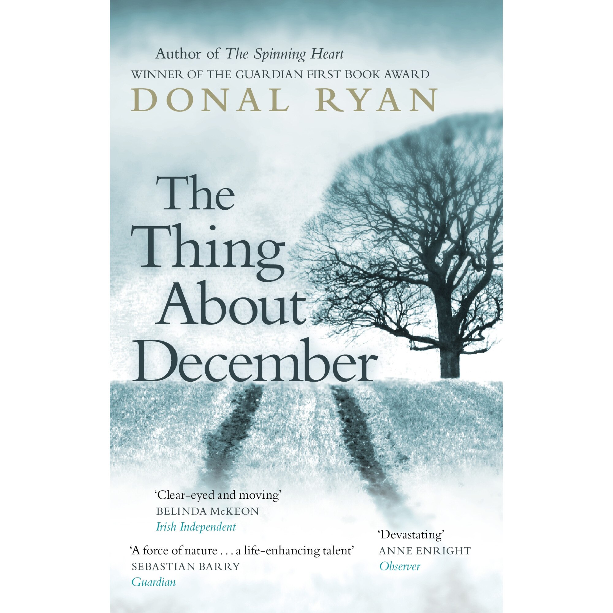 The Thing About December de Donal Ryan