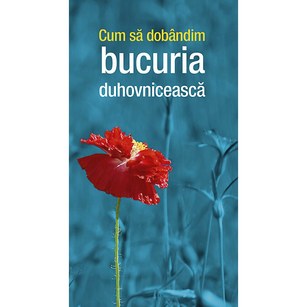 Cum sa dobandim bucuria duhovniceasca, Editura de Suflet