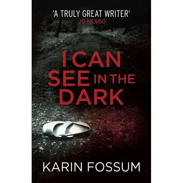 I Can See in the Dark de Karin Fossum