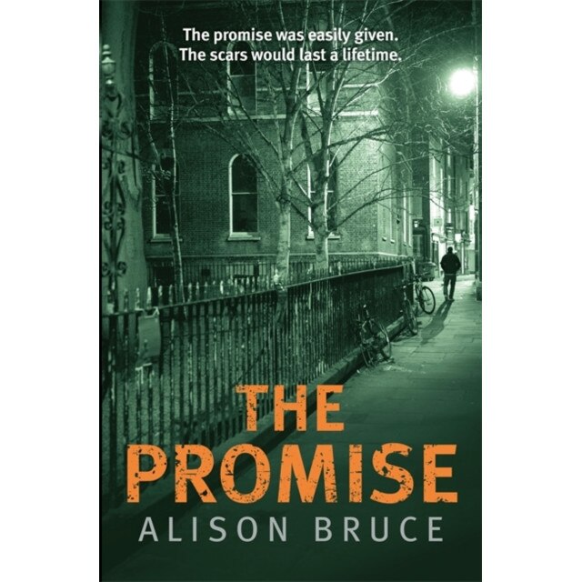 The Promise de Alison Bruce
