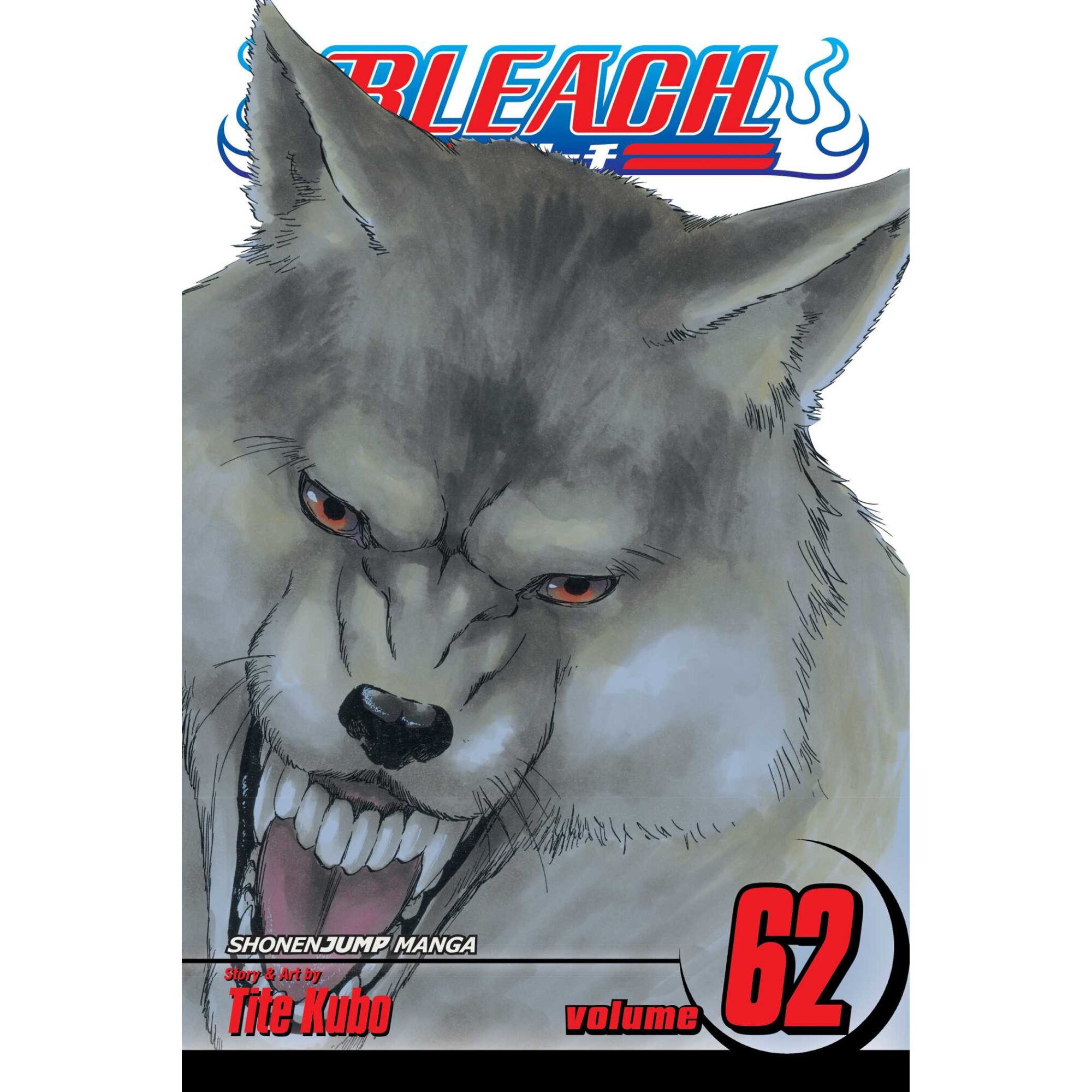 Bleach, Volume 62 de Tite Kubo