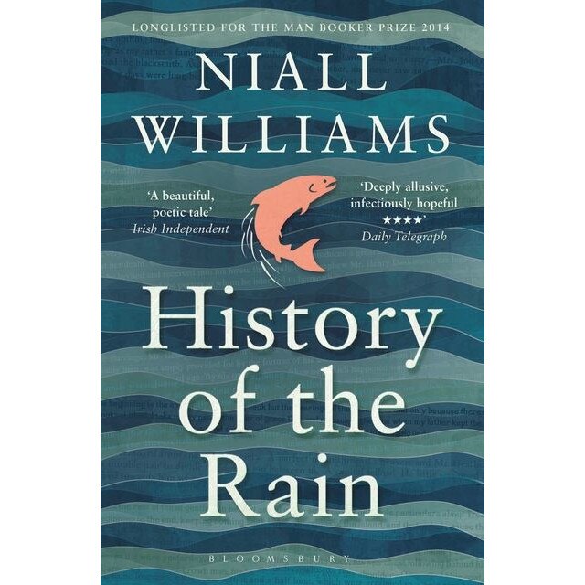 History of the Rain de Niall Williams