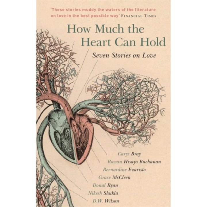 How Much the Heart Can Hold: the perfect alternative Valentine's gift de Carys Bray