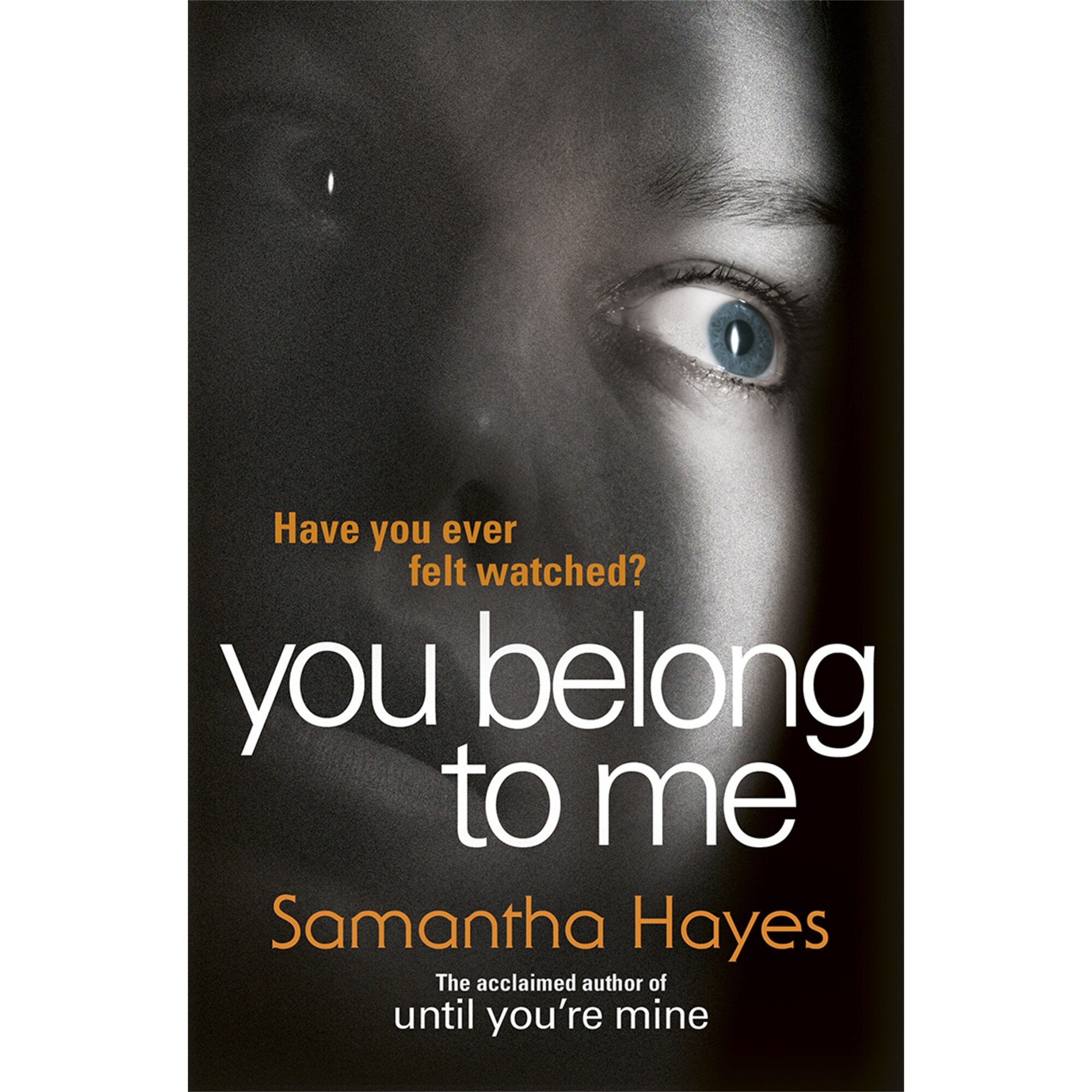 You Belong to Me de Samantha Hayes