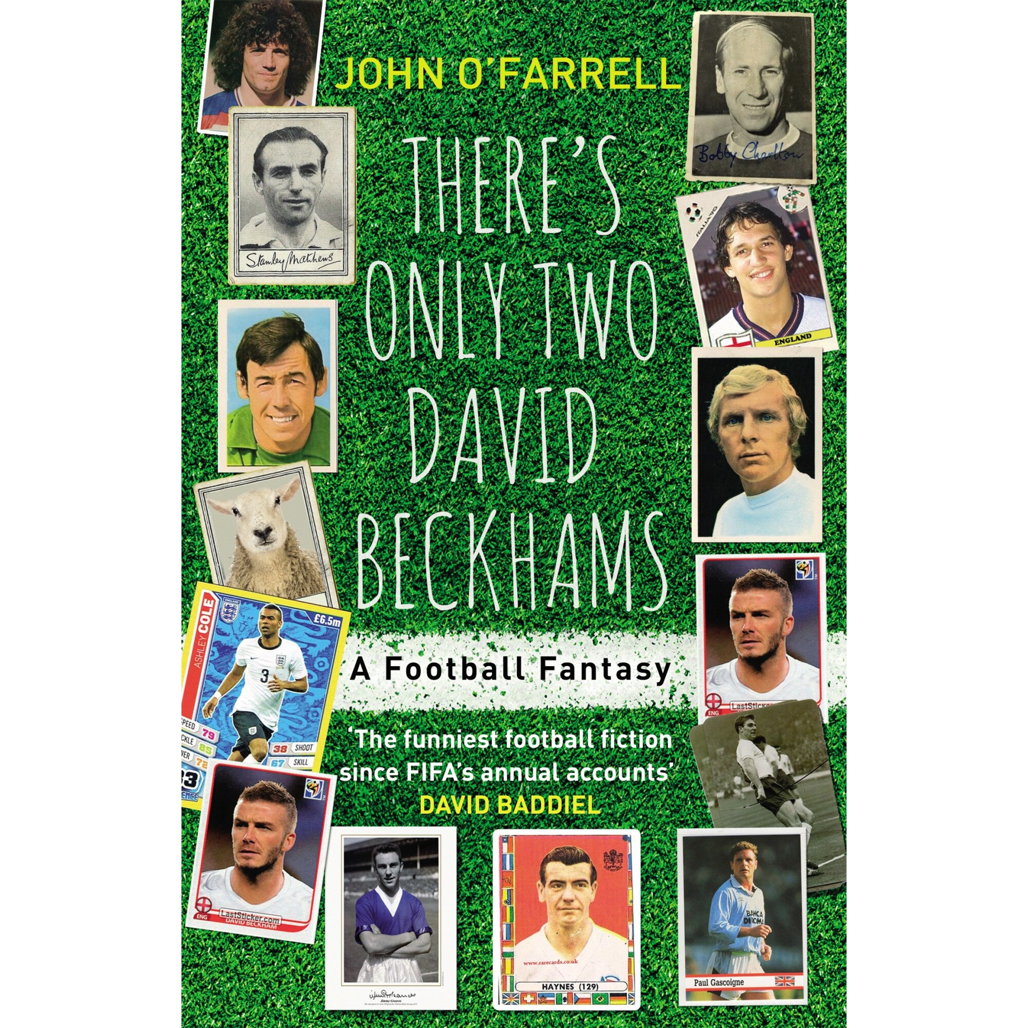 There's Only Two David Beckhams de John O'Farrell