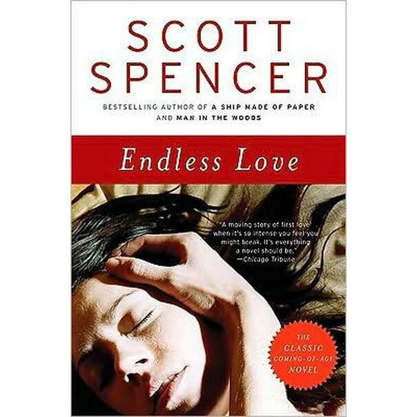 Endless Love de Scott Spencer