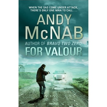 For Valour de Andy McNab For Valour de Andy McNab