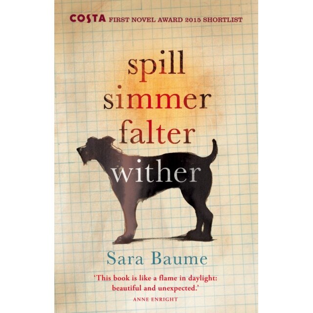 Spill Simmer Falter Wither de Sara Baume