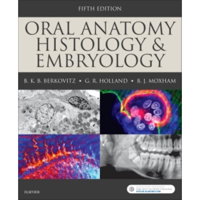 Oral Anatomy, Histology and Embryology de Barry K.B Berkovitz