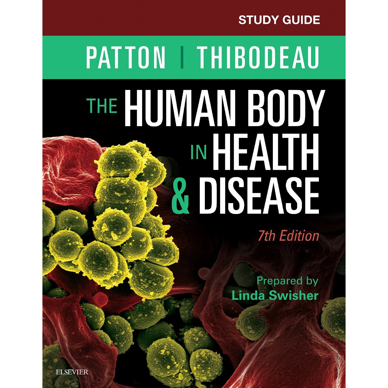 Study Guide for The Human Body in Health & Disease de Linda Swisher