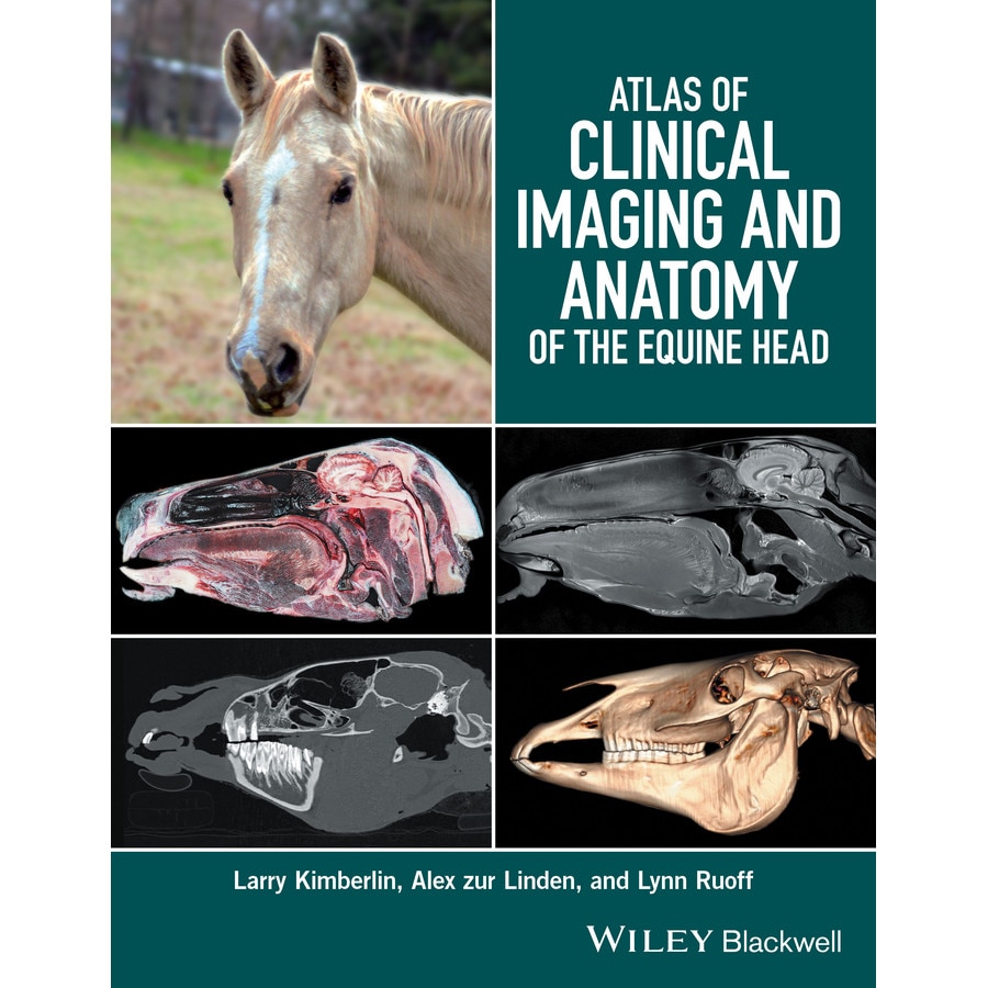 Atlas of Clinical Imaging and Anatomy of the Equine Head de Larry Kimberlin