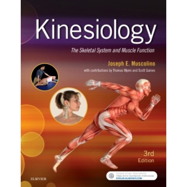 Kinesiology de Joseph E. Muscolino