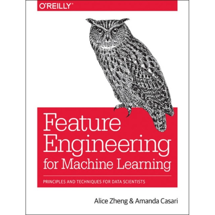 Feature Engineering for Machine Learning de Alice Zheng