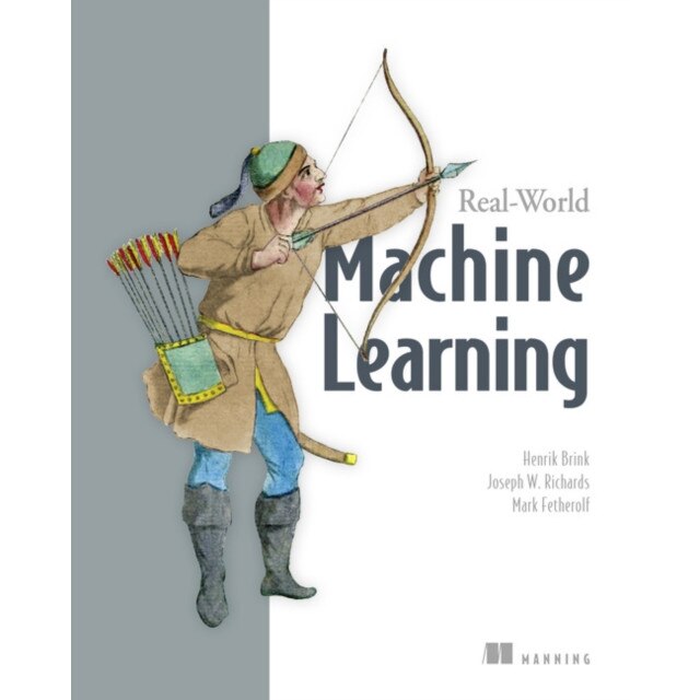 Real-World Machine Learning de Henrick Brink