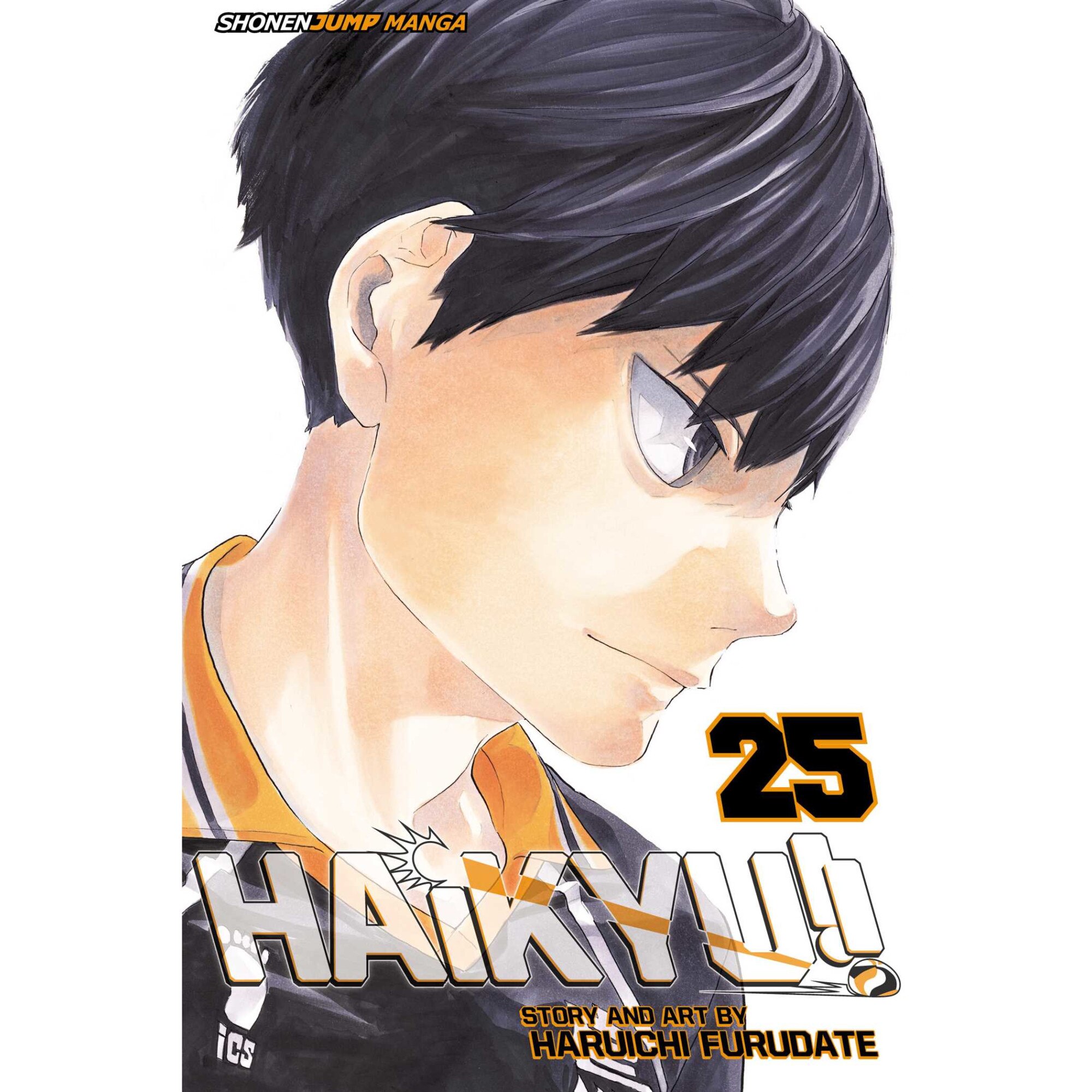 Haikyu!!, Vol. 25 de Haruichi Furudate
