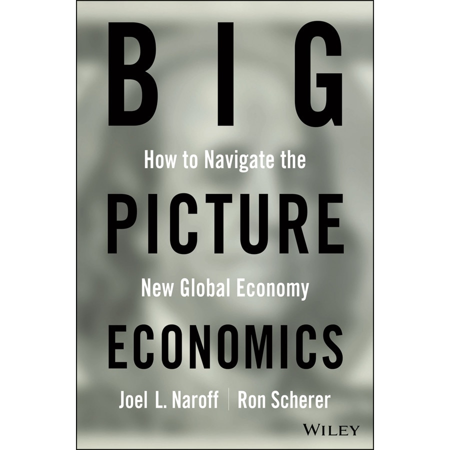 Big Picture Economics de Joel Naroff