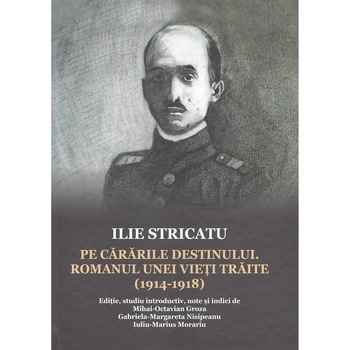ILIE STRICATU. Pe cararile destinului. Romanul unei vieti traite (1914-1918) ILIE STRICATU. Pe cararile destinului. Romanul unei vieti traite (1914-1918)