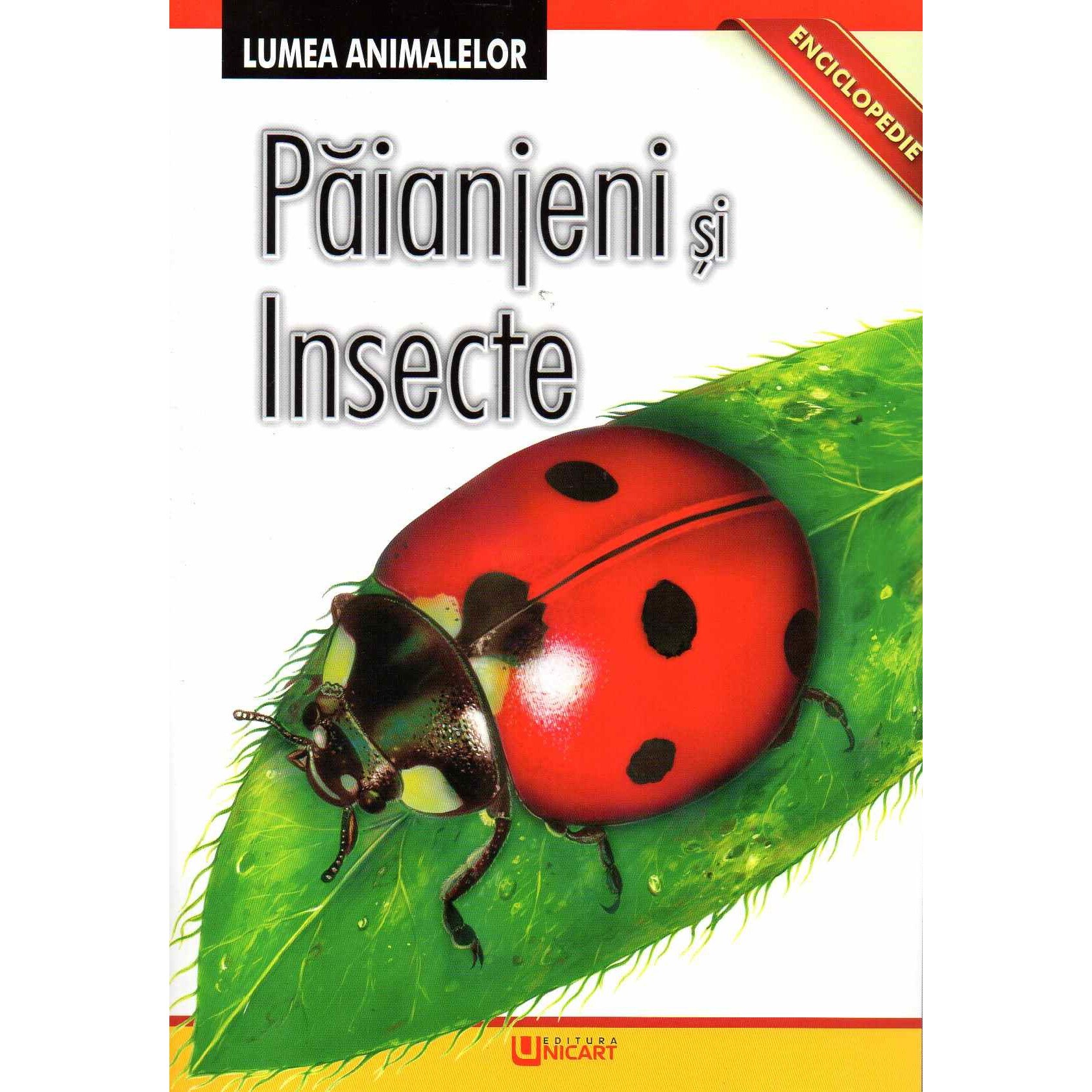 Lumea animalelor - Insecte si paianjeni