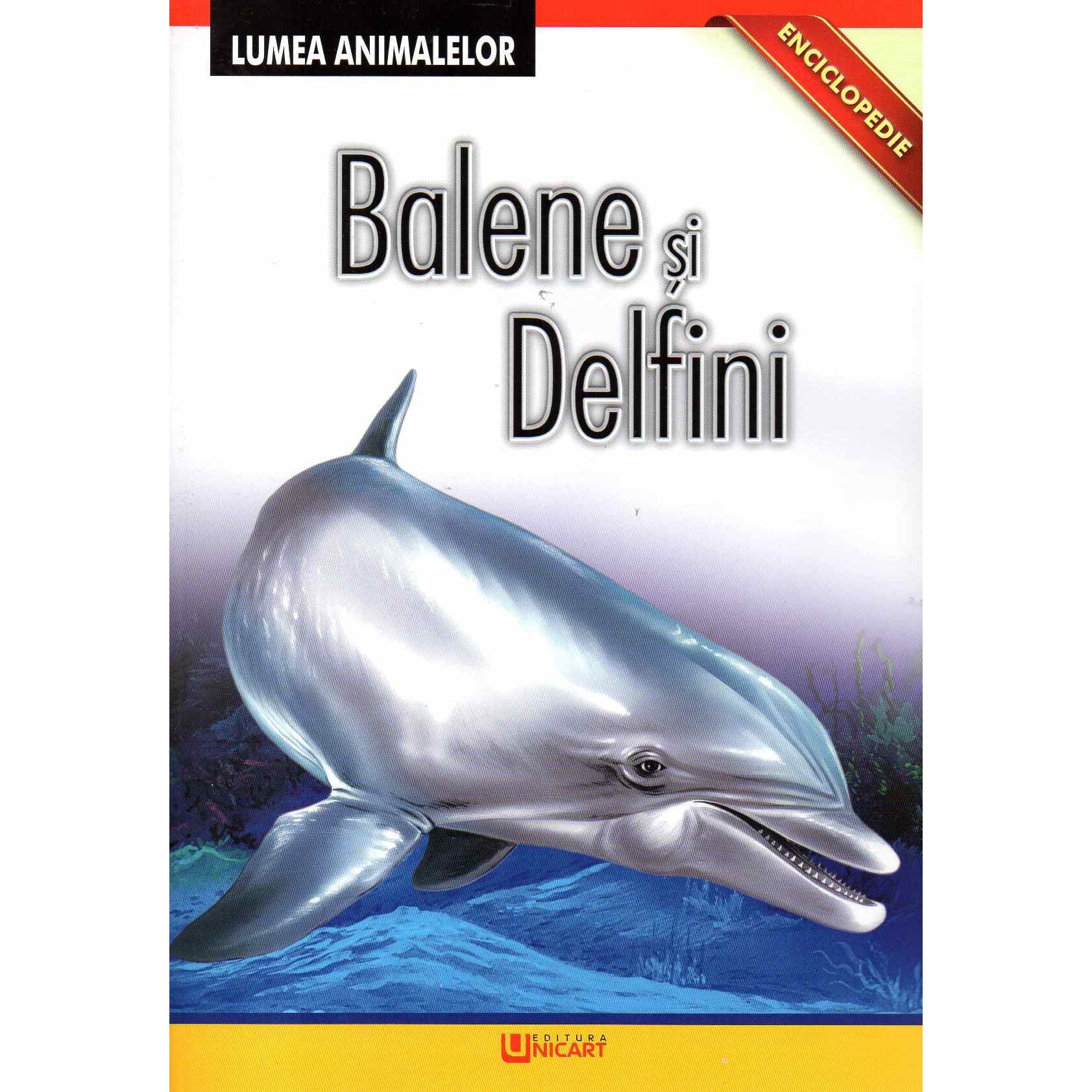 Lumea animalelor Balene si delfini