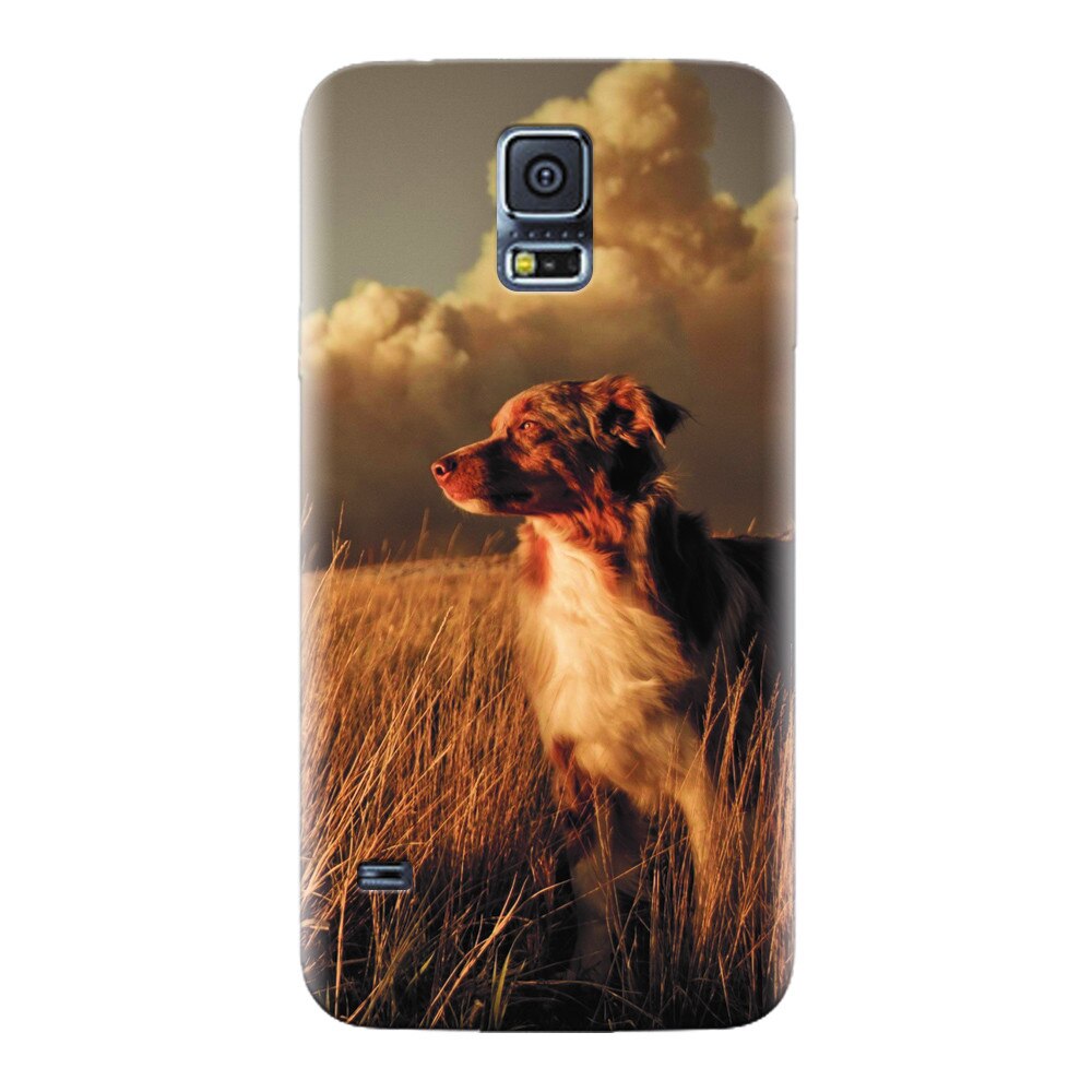 Husa silicon pentru Samsung Galaxy S5, Alone Dog Animal In Grass