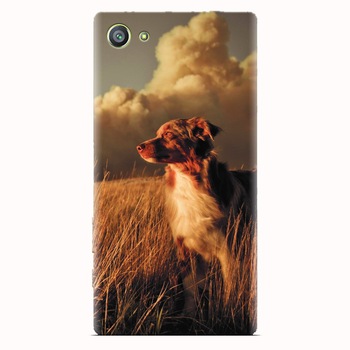 Husa silicon pentru Sony Xperia Z5 Compact, Alone Dog Animal In Grass Husa silicon pentru Sony Xperia Z5 Compact, Alone Dog Animal In Grass