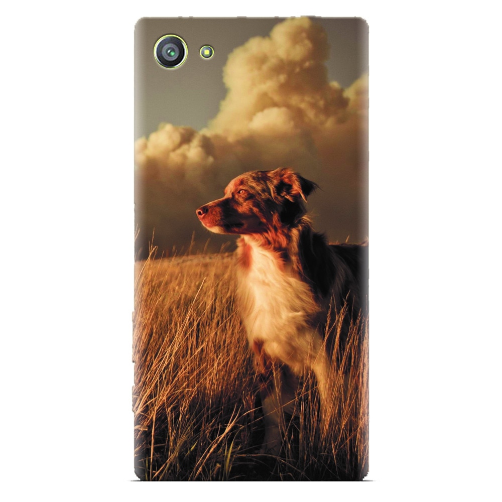 Husa silicon pentru Sony Xperia Z1 Mini, Alone Dog Animal In Grass