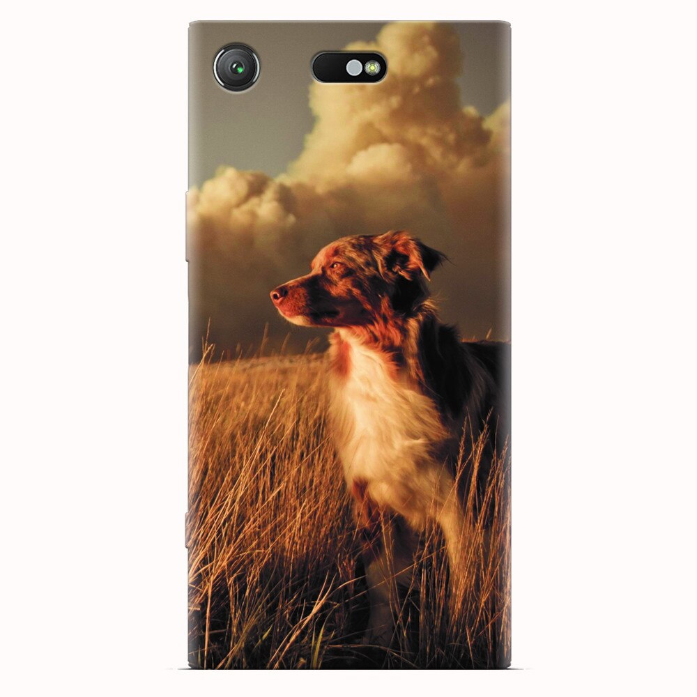 Husa silicon pentru Sony Xperia XZ1 Compact, Alone Dog Animal In Grass