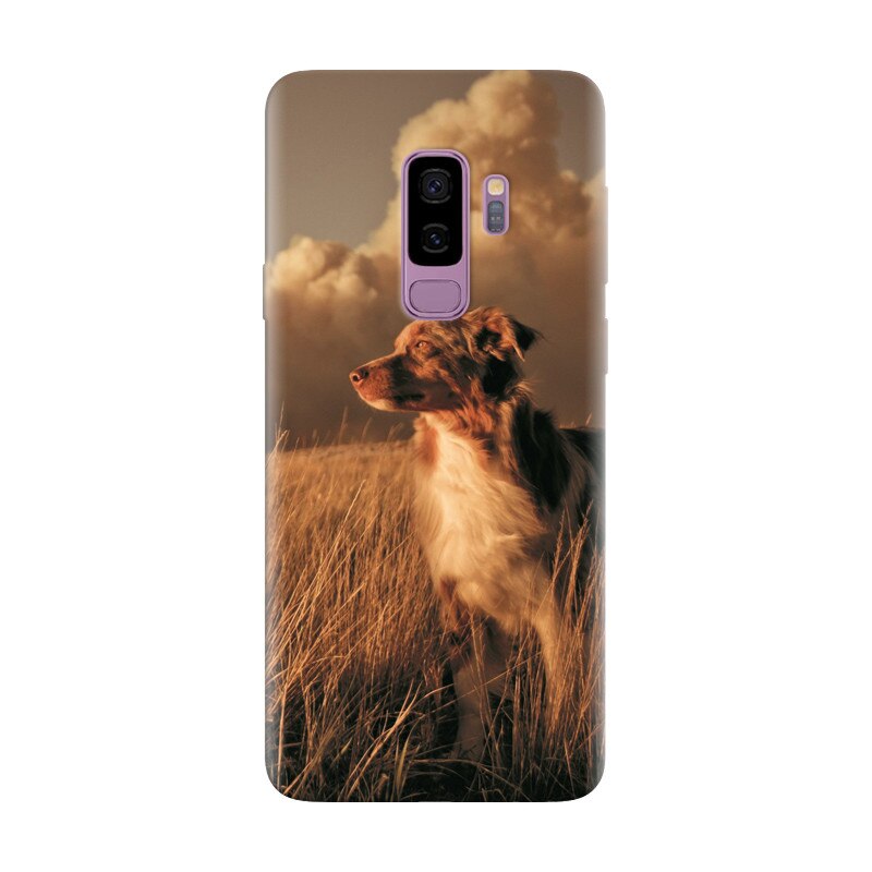 Husa silicon pentru Samsung Galaxy S9 Plus, Alone Dog Animal In Grass