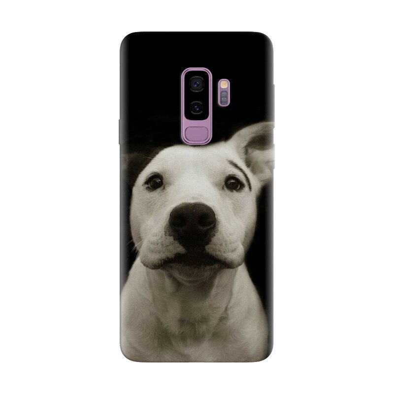 Husa silicon pentru Samsung Galaxy S9 Plus, Funny Dog