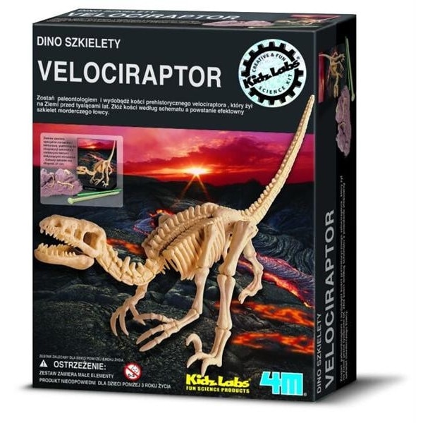Set educational dinozauri, Velociraptor, 4M, 8 ani +