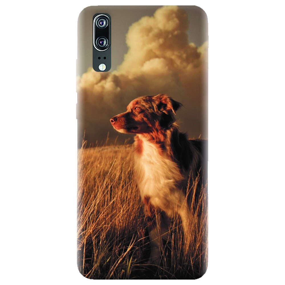 Husa silicon pentru Huawei P20, Alone Dog Animal In Grass
