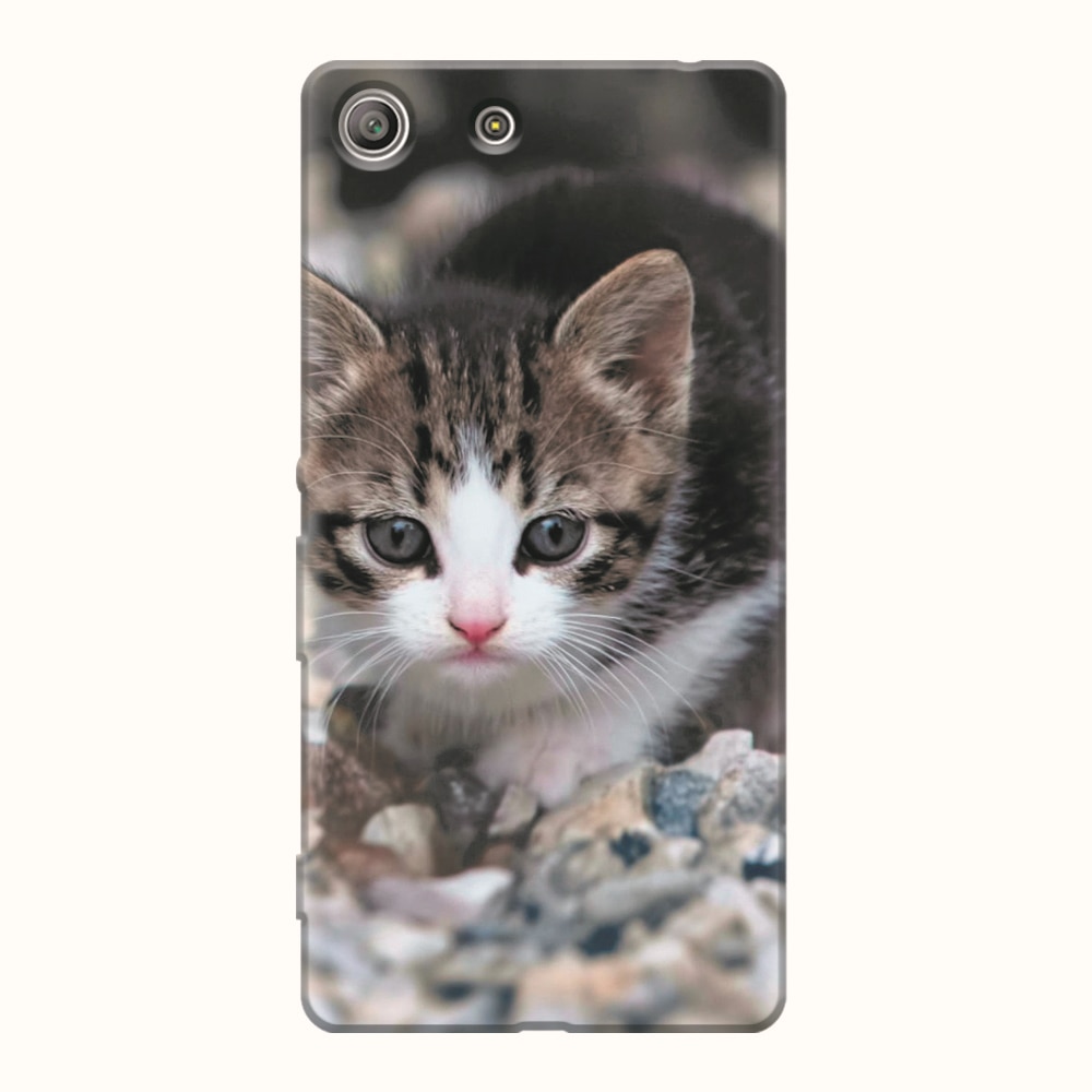 Husa silicon pentru Sony Xperia M5, Animal Cat