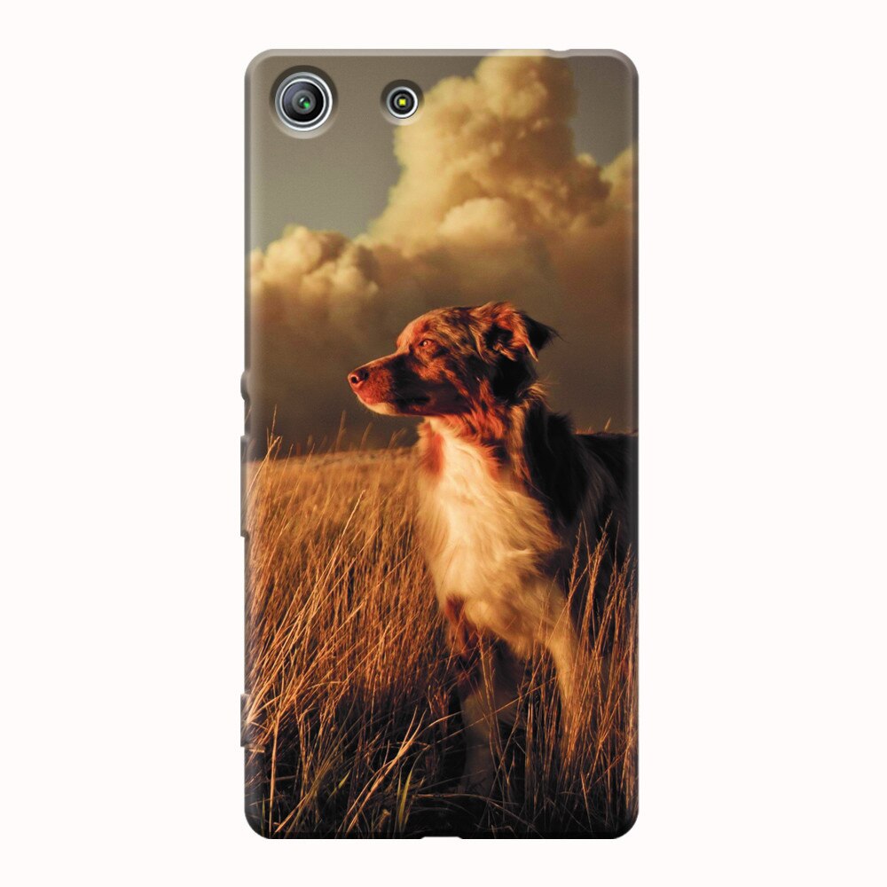 Husa silicon pentru Sony Xperia M5, Alone Dog Animal In Grass