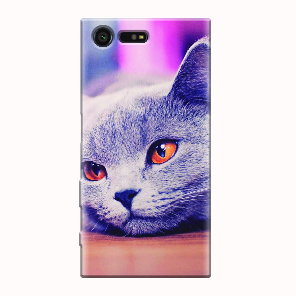 Husa silicon pentru Sony Xperia X Compact, British Shorthair Cat Yellow Eyes Portrait