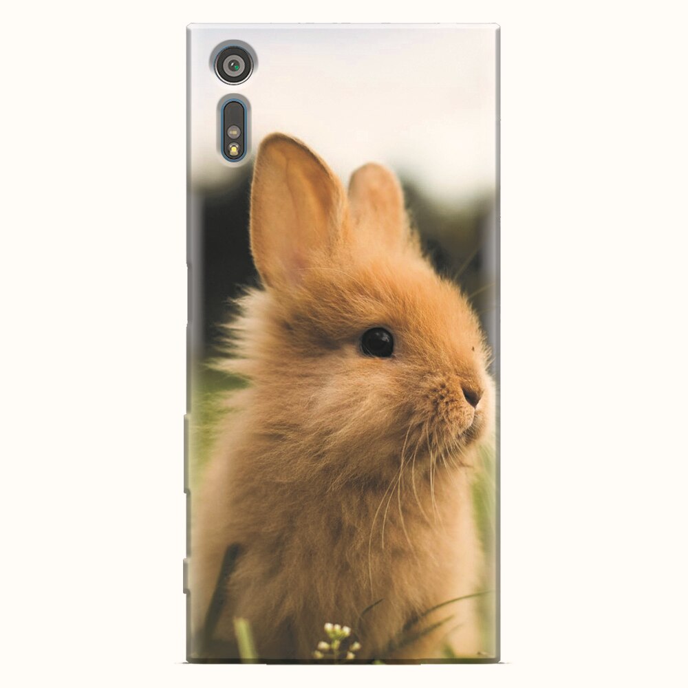 Husa silicon pentru Sony Xperia XZ, Cute Rabbit In Grass
