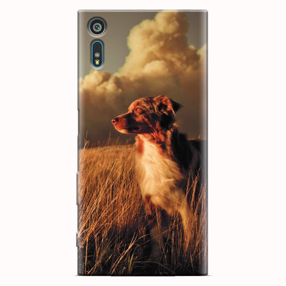 Husa silicon pentru Sony Xperia XR, Alone Dog Animal In Grass