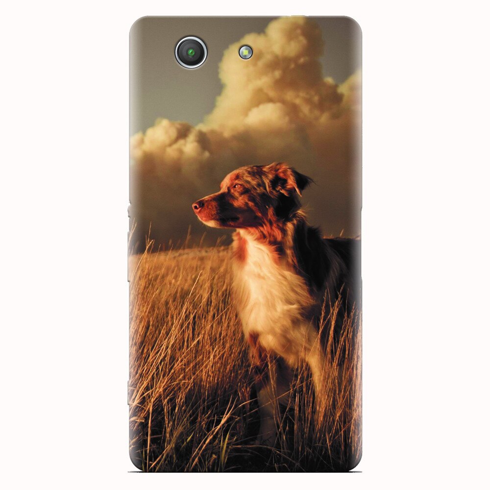 Husa silicon pentru Sony Xperia Z3 mini, Alone Dog Animal In Grass