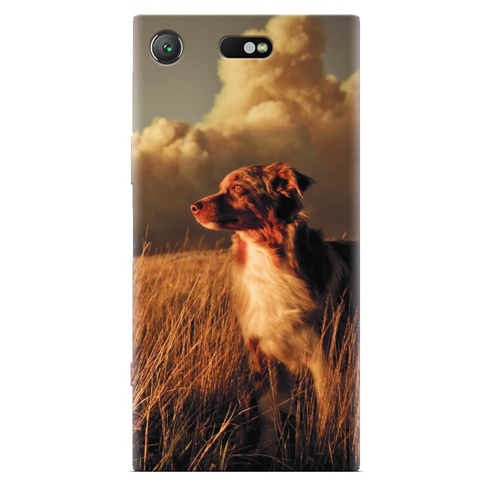 Husa silicon pentru Sony Xperia XZ Compact, Alone Dog Animal In Grass