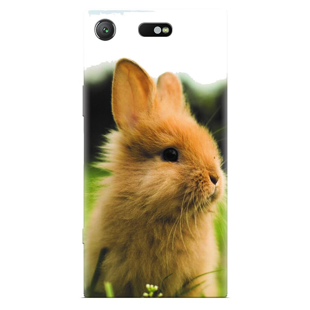 Husa silicon pentru Sony Xperia XZ Compact, Cute Rabbit In Grass